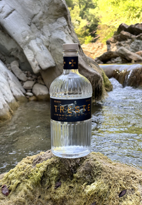 Gin TRESTE - immagine 5