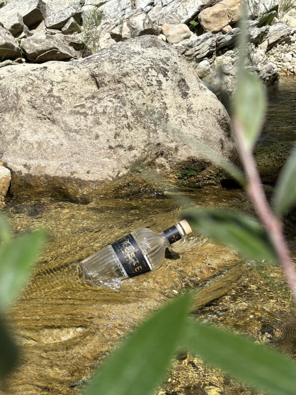 Gin TRESTE - immagine 2